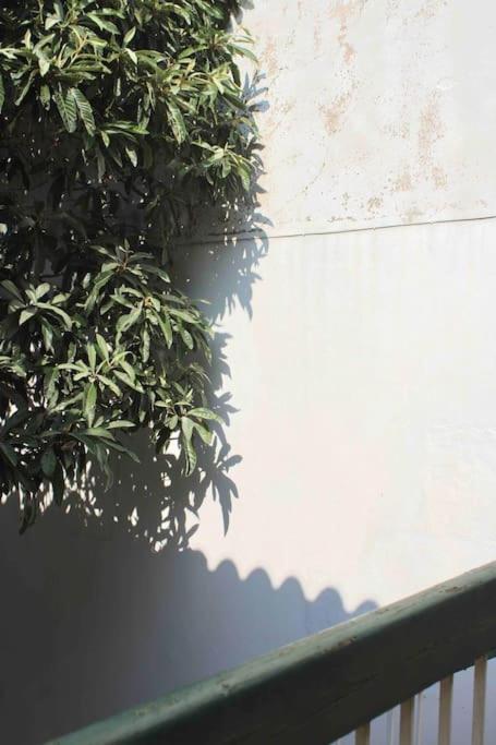 Spacieux Appartement 4 Couchages, Terrasse Privee Ναρμπόν Εξωτερικό φωτογραφία
