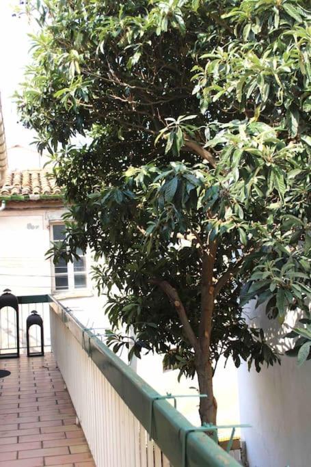 Spacieux Appartement 4 Couchages, Terrasse Privee Ναρμπόν Εξωτερικό φωτογραφία